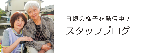 スタッフブログ